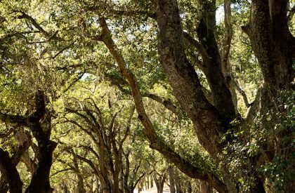 Quintessa Pavilions | Walker Warner Architects