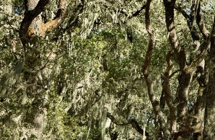 Quintessa Pavilions | Walker Warner Architects