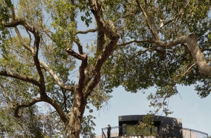 Round House | Feldman Architecture