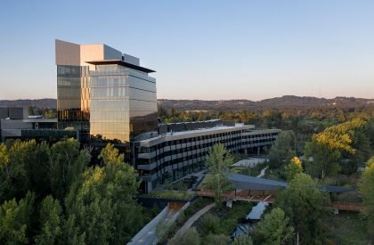 Serena Williams Building at Nike World Headquarters | Skylab