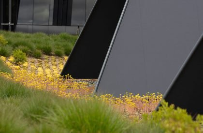 Serena Williams Building at Nike World Headquarters | Skylab