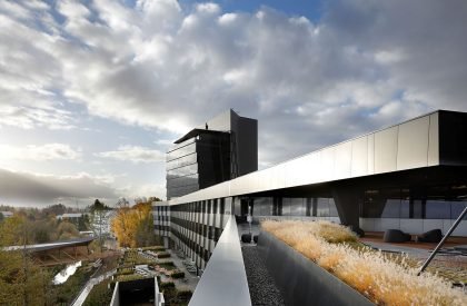 Serena Williams Building at Nike World Headquarters | Skylab