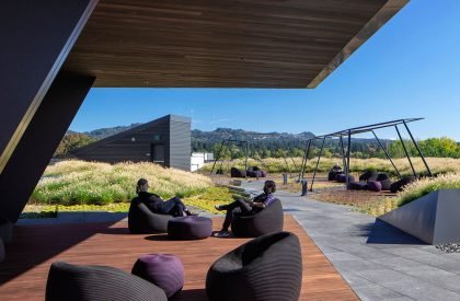 Serena Williams Building at Nike World Headquarters | Skylab