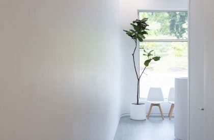 Symphony Orthodontics | OLI Architecture