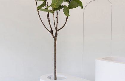 Symphony Orthodontics | OLI Architecture