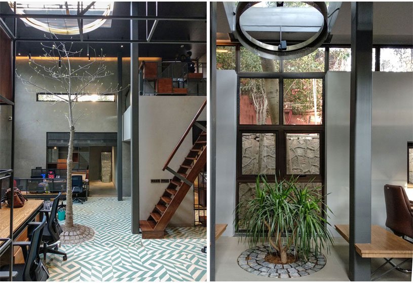Treehouse Office | Flyingseeds Design Studio