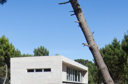 Casa Fragata | Estudio Galera