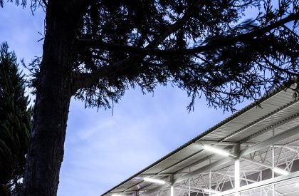 Avila Pavilion | Cotaparedes Arquitectos
