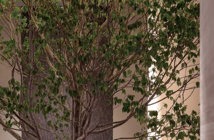 RARA whole-house showroom | CUN Design
