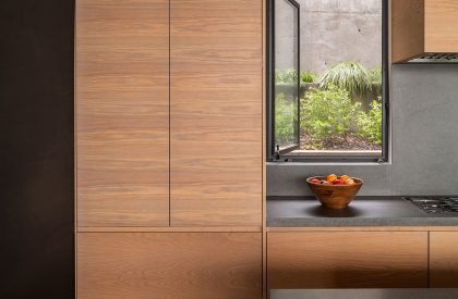 T house | ANX / Aaron Neubert Architects