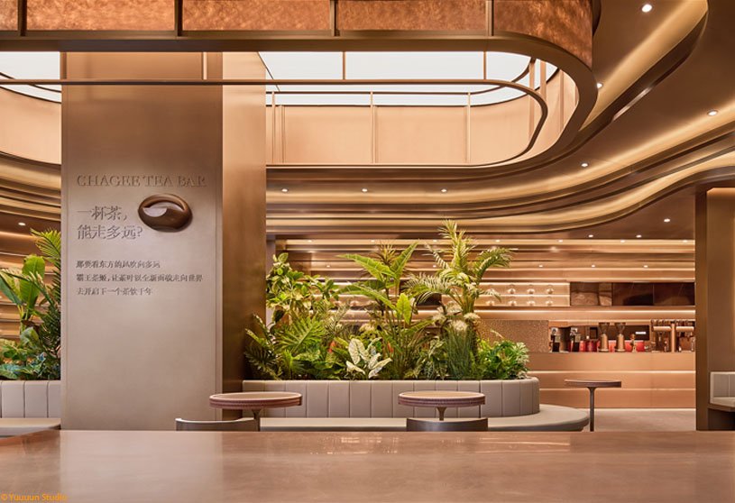 Chagee Tea Bar | Still Young