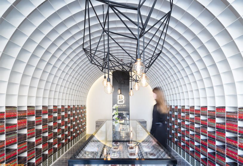 Bean to Bar Chocolatier | Studio Toggle