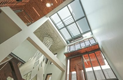 House B7 | Flyingseeds Design Studio