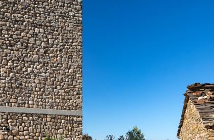 The Lodsi Community Project for Forest Essentials | Morphogenesis