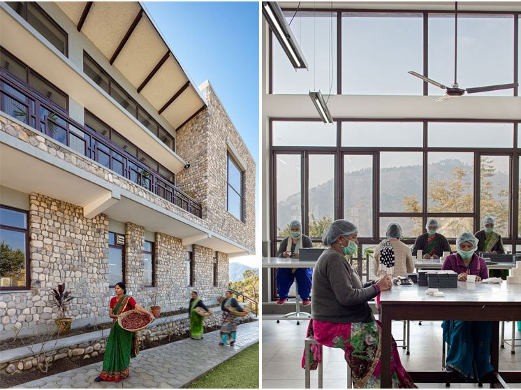 The Lodsi Community Project for Forest Essentials | Morphogenesis