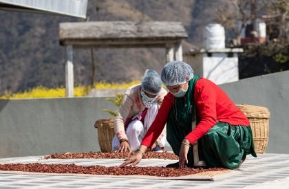 The Lodsi Community Project for Forest Essentials | Morphogenesis