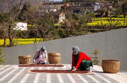 The Lodsi Community Project for Forest Essentials | Morphogenesis