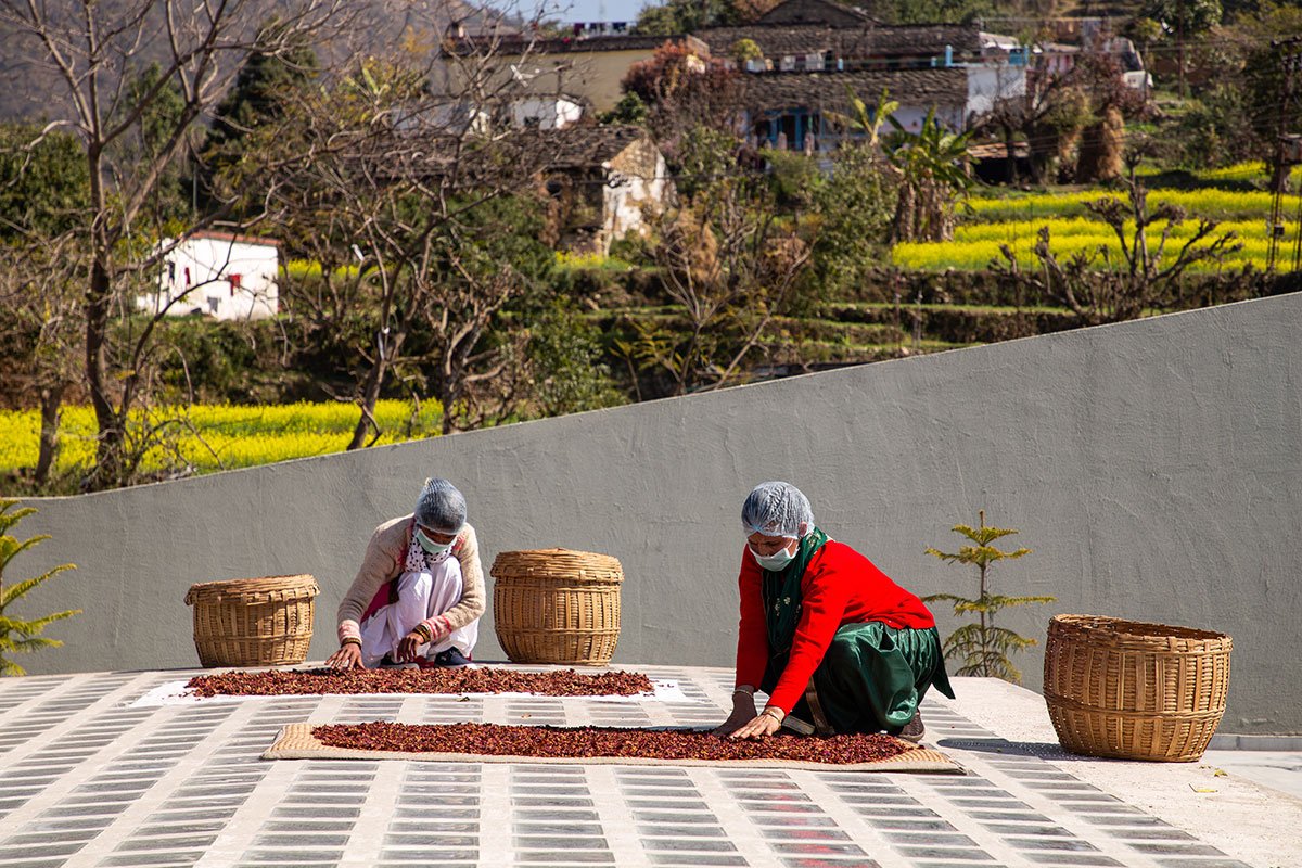 The Lodsi Community Project for Forest Essentials | Morphogenesis
