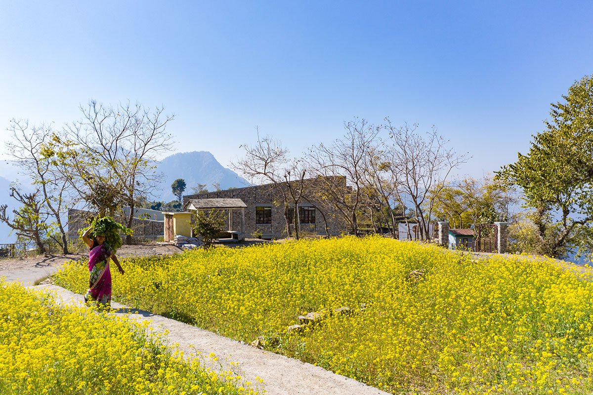 The Lodsi Community Project for Forest Essentials | Morphogenesis