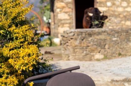 The Lodsi Community Project for Forest Essentials | Morphogenesis