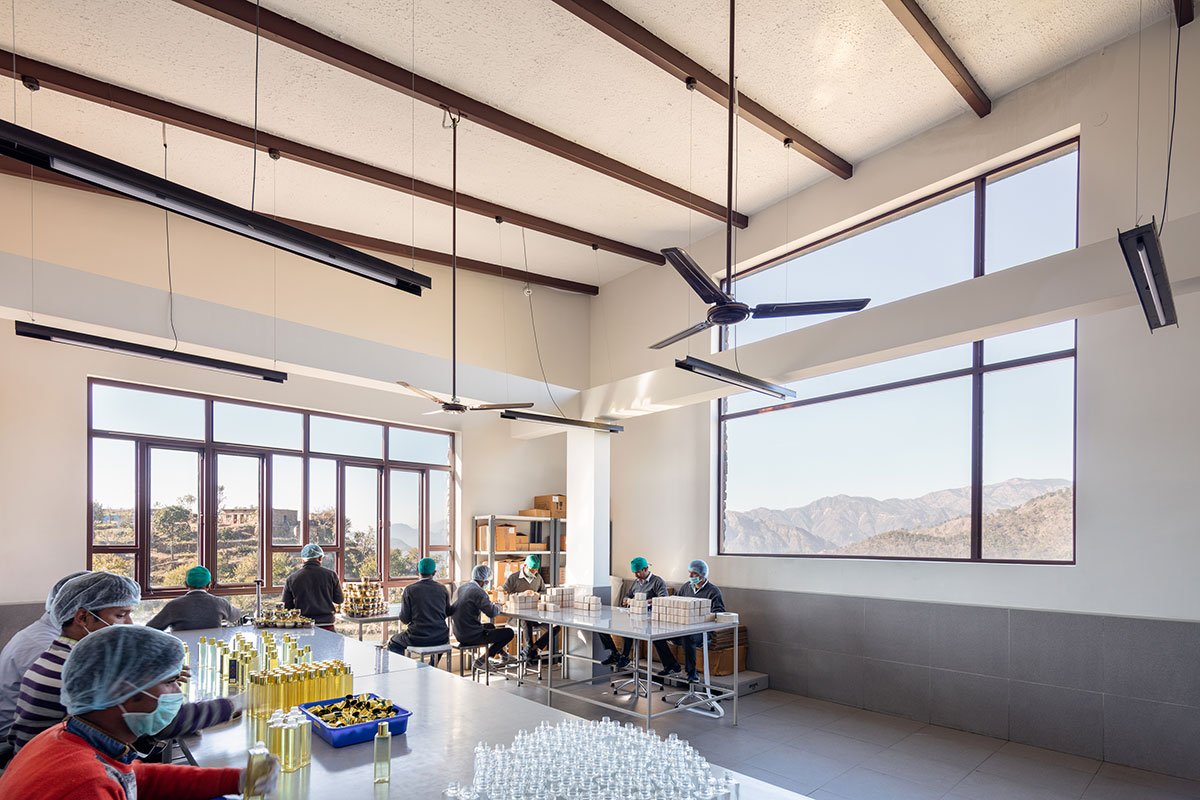 The Lodsi Community Project for Forest Essentials | Morphogenesis