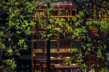 Mumian Chengdu | CCD (Cheng Chung Design)