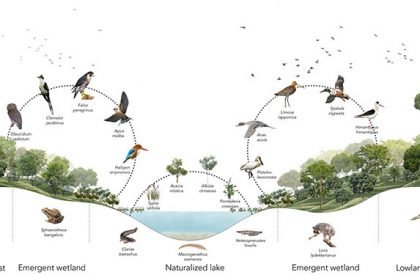Nature to Nurture: Exploring the role of nature in boosting people’s mental health | Landscape Architecture Thesis