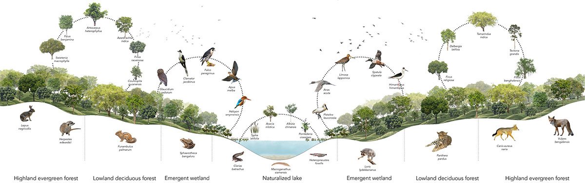 Nature to Nurture: Exploring the role of nature in boosting people’s mental health | Landscape Architecture Thesis