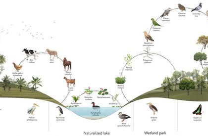 Nature to Nurture: Exploring the role of nature in boosting people’s mental health | Landscape Architecture Thesis