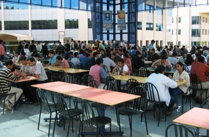 Nature to Nurture: Exploring the role of nature in boosting people’s mental health | Landscape Architecture Thesis