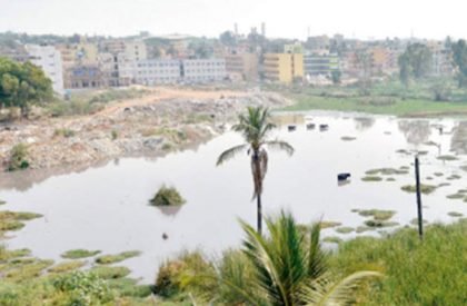 Nature to Nurture: Exploring the role of nature in boosting people’s mental health | Landscape Architecture Thesis