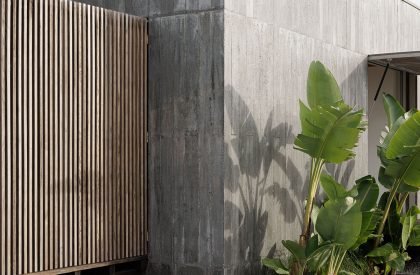 Palheiro | Pedro Henrique Arquiteto