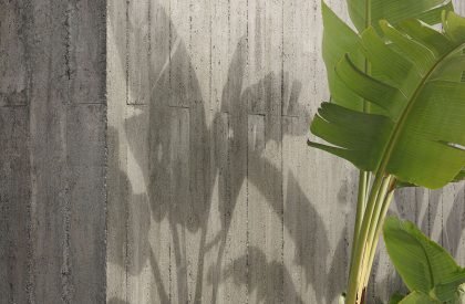 Palheiro | Pedro Henrique Arquiteto