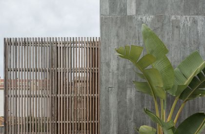 Palheiro | Pedro Henrique Arquiteto