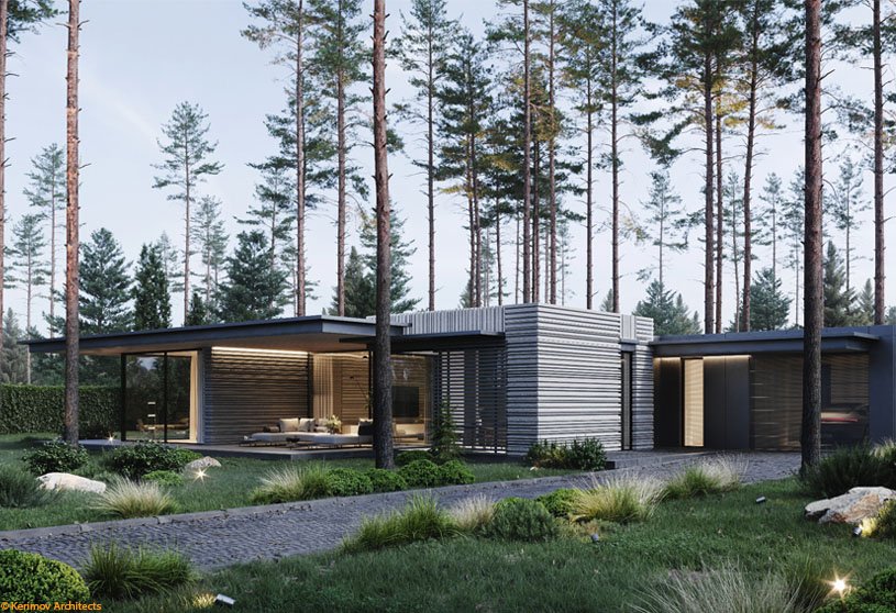 In harmony with nature: a house for two in Repino | Kerimov Architects