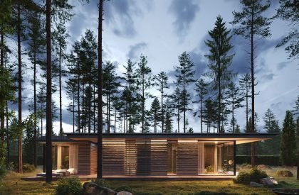 In harmony with nature: a house for two in Repino | Kerimov Architects