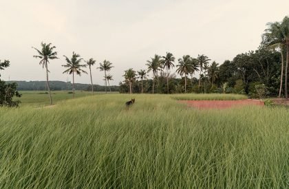 Alarine Earth Home | Zarine Jamshedji Architects