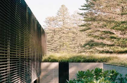 Bilgola Beach House | Olson Kundig