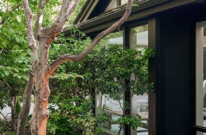 Cedar House | Graham Baba Architects