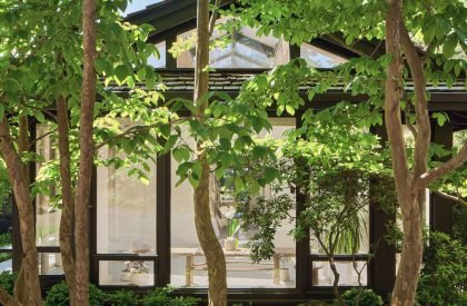 Cedar House | Graham Baba Architects