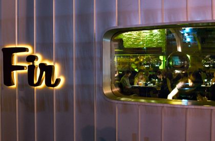 Doug Fir | Skylab