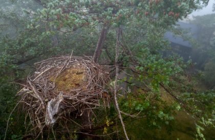 Lopez Lookout | Heliotrope Architects