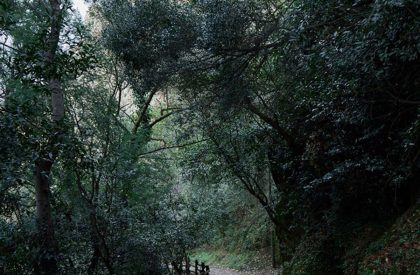 Watermill on the Crag | Bruno Dias arquitectura