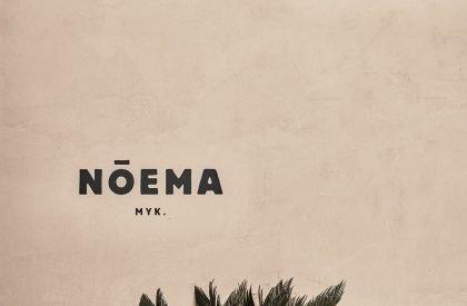 Noema | "K-Studio" + Lambs and Lions