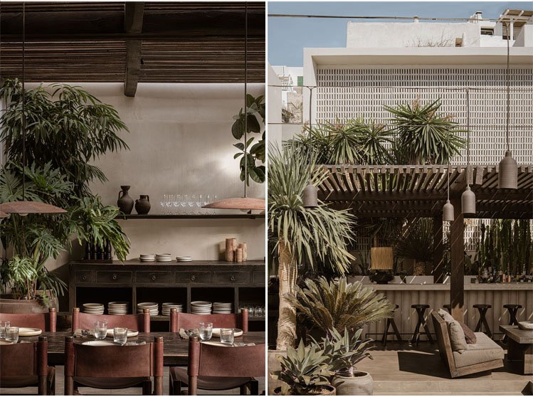 Noema | K-Studio + Lambs and Lions