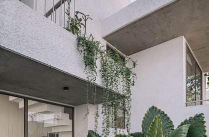 The White Bleached House | Neogenesis+Studi0261