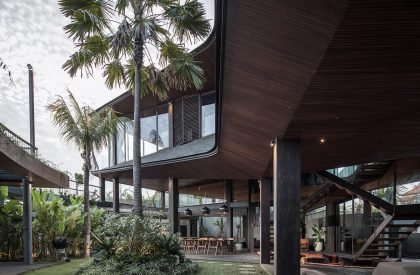 Butterfly House | Alexis Dornier