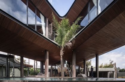 Butterfly House | Alexis Dornier