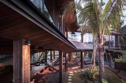 Butterfly House | Alexis Dornier