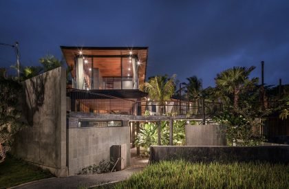 Butterfly House | Alexis Dornier